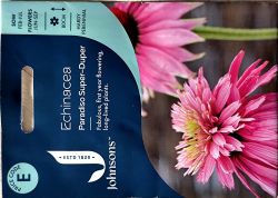 Echinacea Paradiso Super Duper Seeds